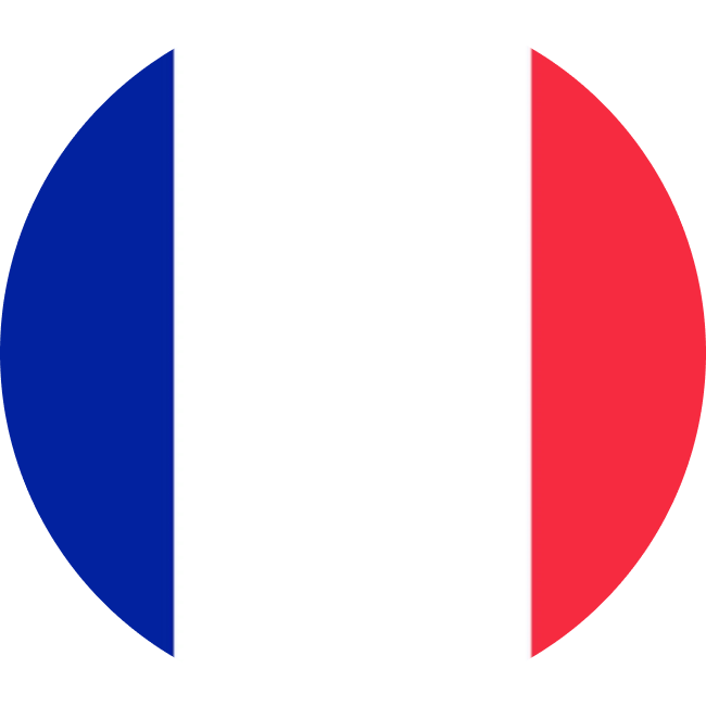 FRANCE Logo