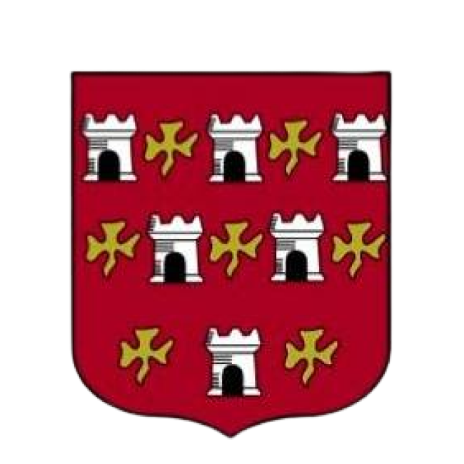 RS MAGNY Logo