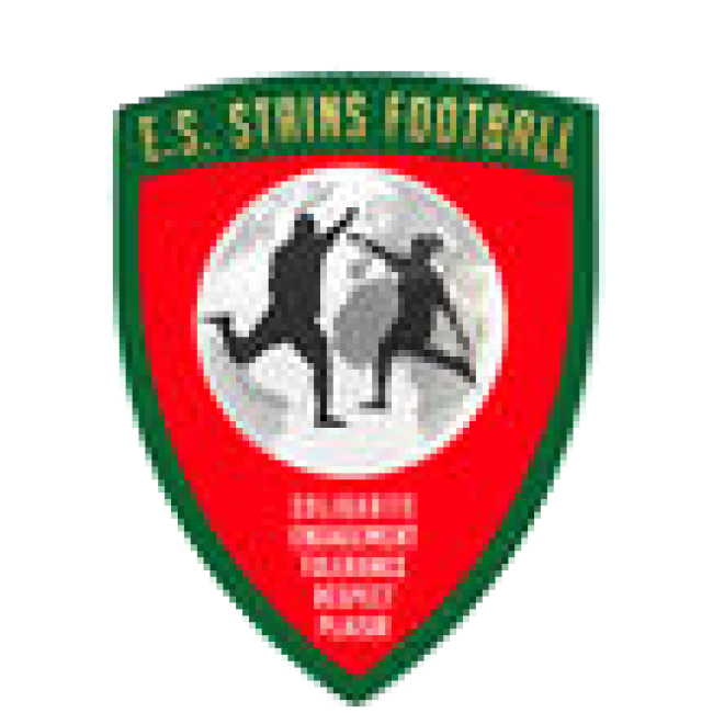 ES STAINS Logo