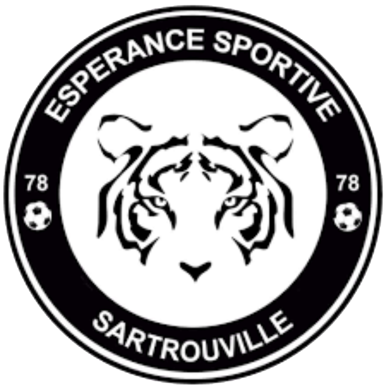 ES SARTROUVILLE Logo