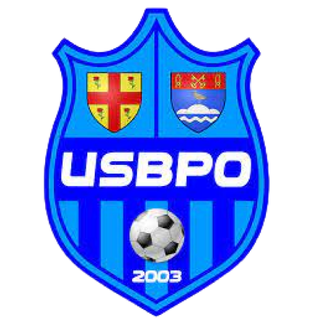 US BOISSISE LE ROI PRINGY Logo