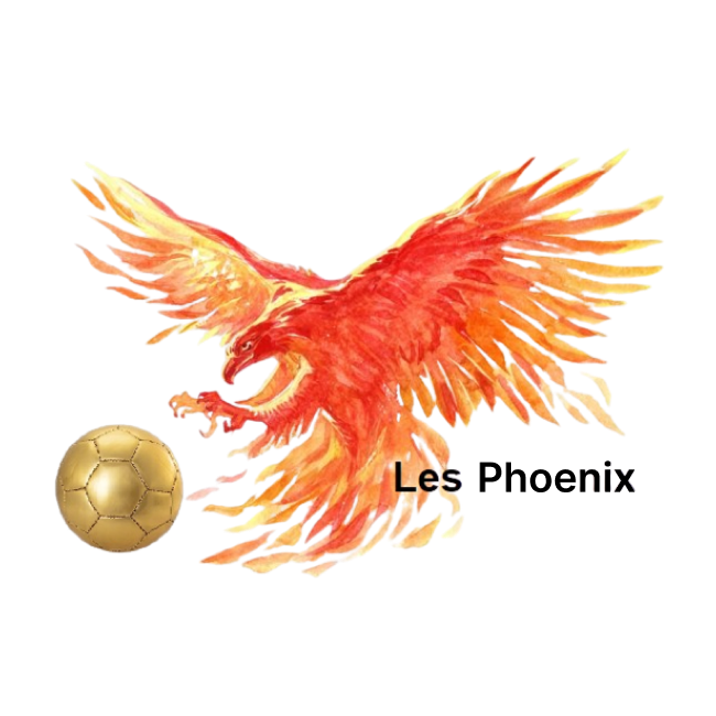 PHOENIX FOOTBALL SCHOOL Logo